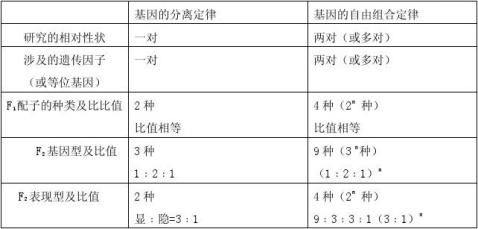 孟德尔定律及遗传规律的再发现