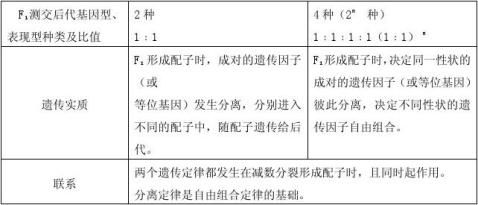 孟德尔定律及遗传规律的再发现