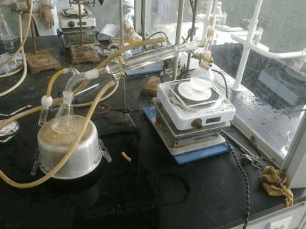 乙酸异戊酯实验图片