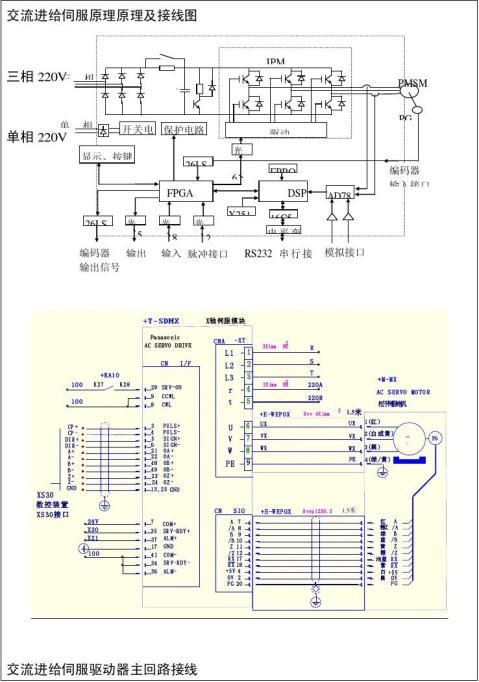 ػάʵ鱨1