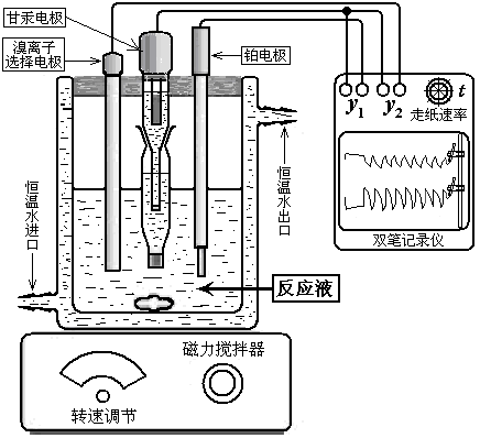 2d-bz振荡实验装置,100ml电解池,光亮铂丝电极,217型双盐桥甘汞电
