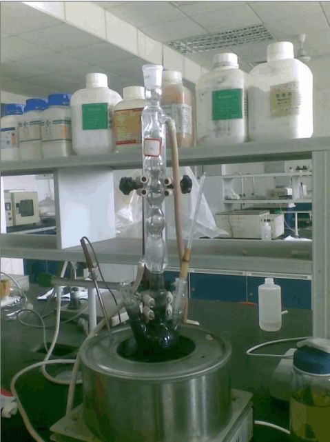 苯佐卡因实验实实训总结(2200字)